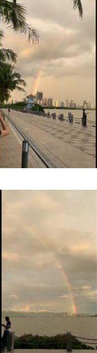 快许愿！深圳连到香港的彩虹上热搜 最美天空桥惊艳了时光快来领取小幸运