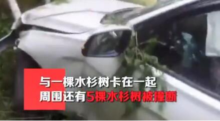 【惊魂一刻】吃感冒药后开车连撞六棵树 女司机驾驶宝马车冲进绿化带损失18万