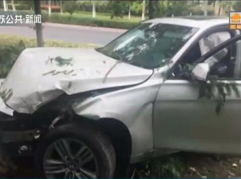 【药驾也可怕】吃感冒药后开车连撞六棵树 现场到底发生了什么?