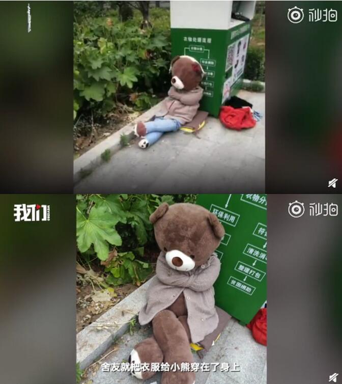 【有趣的灵魂】医学院被遗弃的小熊走红是怎么回事?背后的故事太暖心了