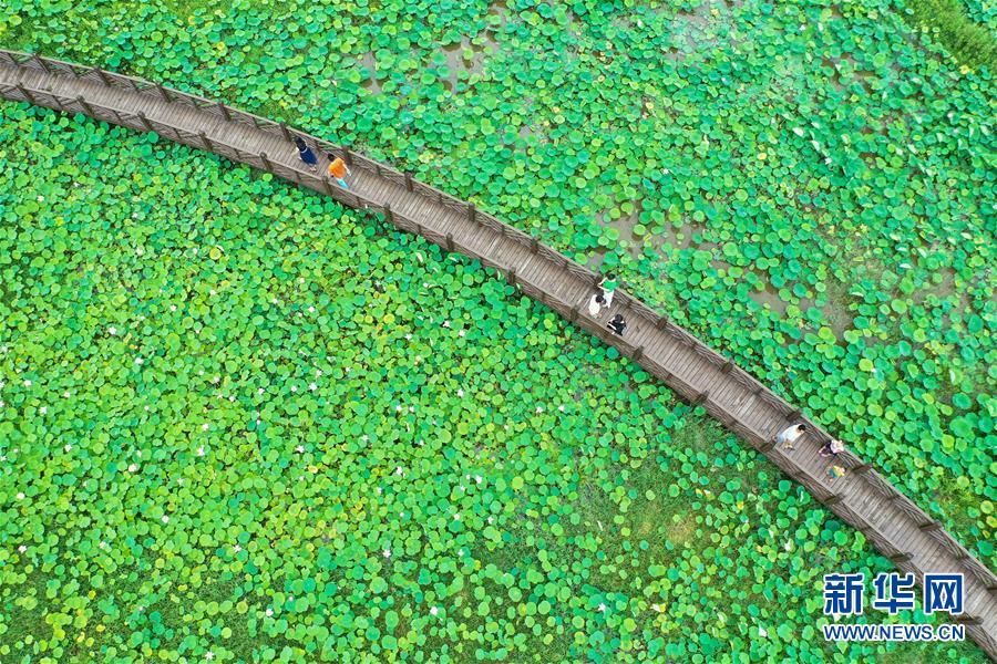 端午小长假国内游客超4880万人次