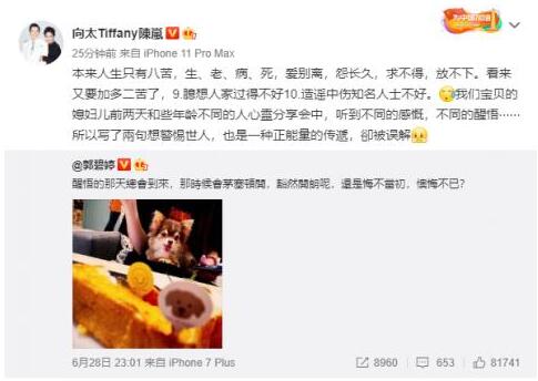 不愧是向太!向太回应郭碧婷深夜发文,一篇小作文解决所有问题