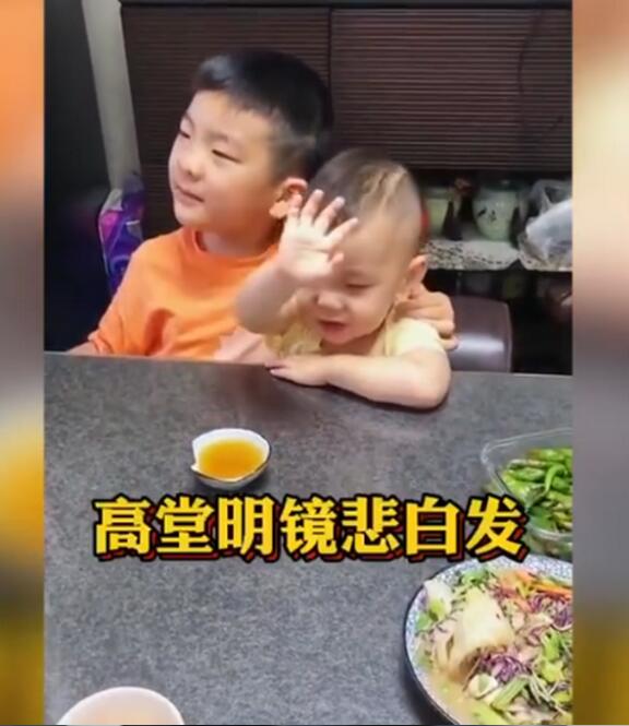 【萌化了】7岁哥哥与2岁弟弟背诵将进酒,网友:上头了上头了