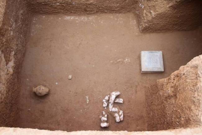 【前所未有】咸阳发现最大最完整隋代家族墓园