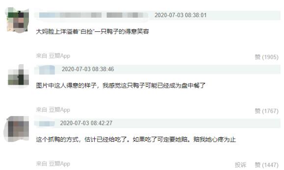 王珞丹发寻鸭启事|瓢哥着急！王珞丹发寻鸭启事 附上未打码监控：揭开柯尔鸭去向之谜