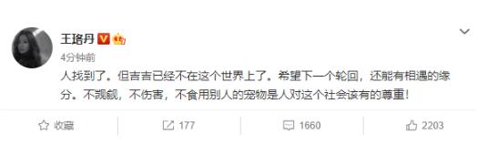 王珞丹发寻鸭启事|瓢哥着急！王珞丹发寻鸭启事 附上未打码监控：揭开柯尔鸭去向之谜