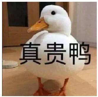 王珞丹发寻鸭启事|瓢哥着急！王珞丹发寻鸭启事 附上未打码监控：揭开柯尔鸭去向之谜