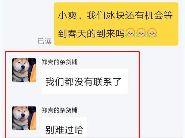 郑爽否认与张翰复合|还有机会吗？郑爽否认与张翰复合 网友表示遗憾