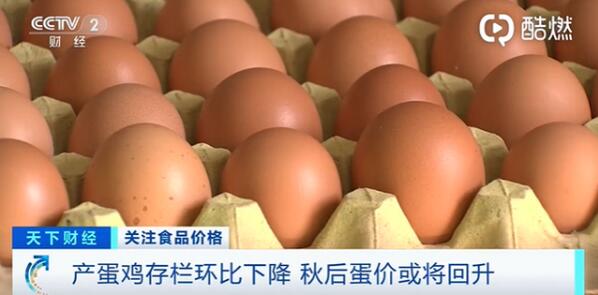 鸡蛋价格半年降近3成，卖一斤亏0.7元！比大饼油条都便宜！
