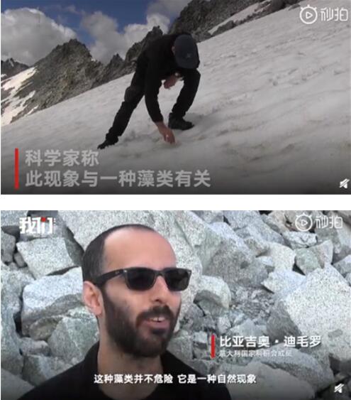 阿尔卑斯山出现粉色冰川|【危险信号】阿尔卑斯山出现粉色冰川是怎么回事?粉色冰川是怎么形成的?