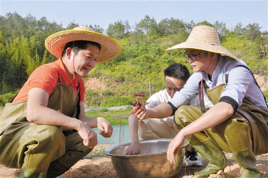【中国梦·践行者】四年倾力扶贫！这位驻村第一书记走进村民心坎里