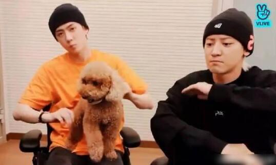 吴世勋朴灿烈跳张艺兴的莲|【真好嗑】吴世勋朴灿烈跳张艺兴的莲 EXO真的是神仙友情啊!