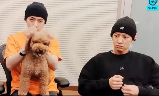 吴世勋朴灿烈跳张艺兴的莲|【围观吃瓜】吴世勋朴灿烈跳张艺兴的莲，这兄弟情也太真了吧!你磕到了吗?