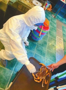 22岁核酸检测员凌晨给海鲜做核酸检验:越做越饿