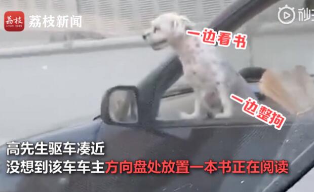 把他惊呆了！司机开车时边撸狗边看书 送你一首小白船