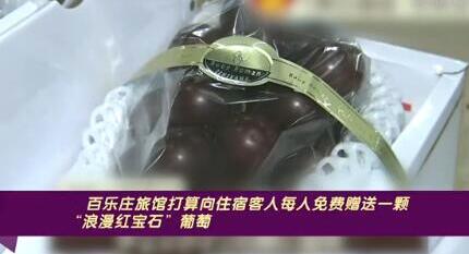 日本天价葡萄一串8.5万元是怎么回事?什么情况?终于真相了,原来是这样!