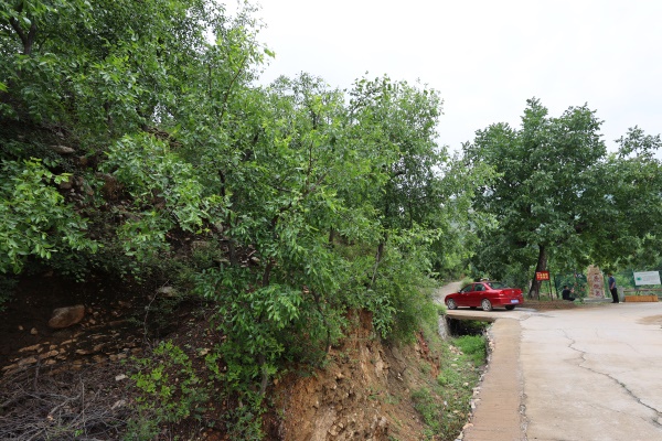 百名记者百村行