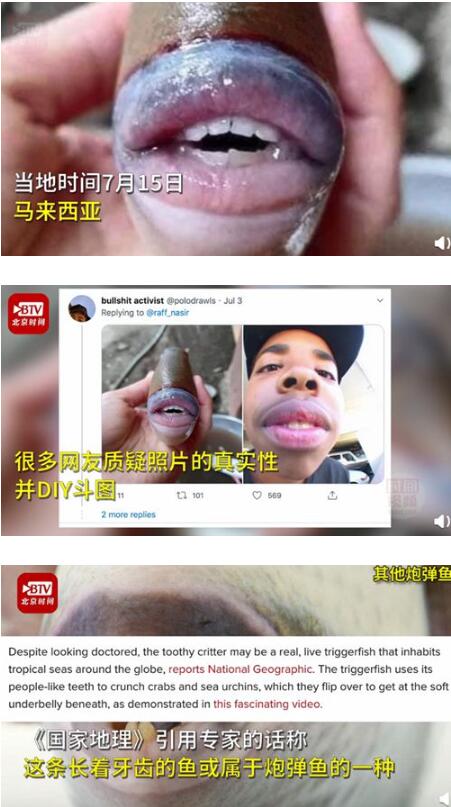 马来西亚发现长着人类牙齿和嘴唇的怪鱼|马来西亚发现长着人类牙齿和嘴唇的怪鱼是怎么回事?什么情况?终于真相了,原来是这样!