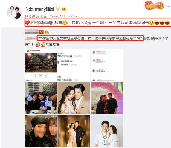 向太官宣郭碧婷怀孕|【忙碌的婆婆】向太官宣郭碧婷怀孕，挑选时间很有内涵