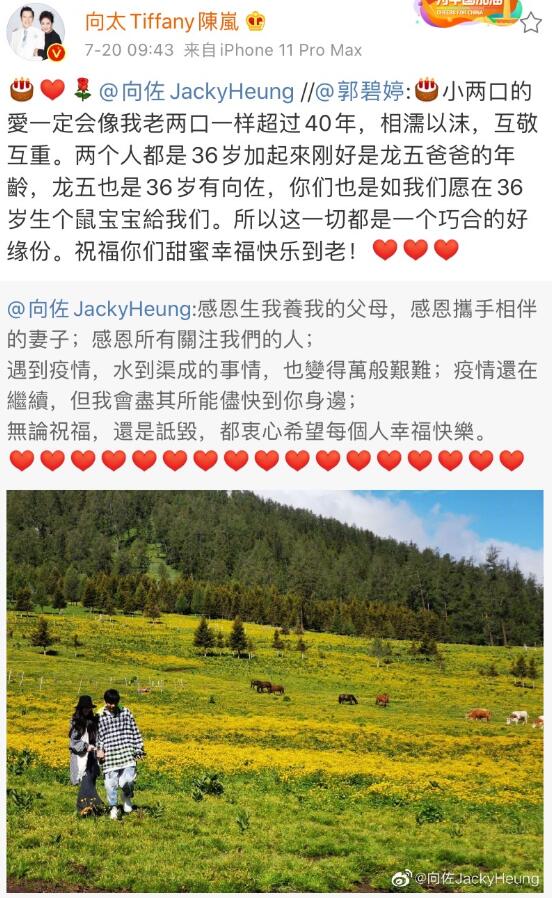 向太官宣郭碧婷怀孕|【忙碌的婆婆】向太官宣郭碧婷怀孕，挑选时间很有内涵