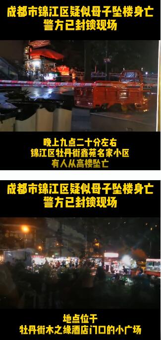 成都一小区母子跳楼坠亡 现场情况怎样调查有结果了吗?