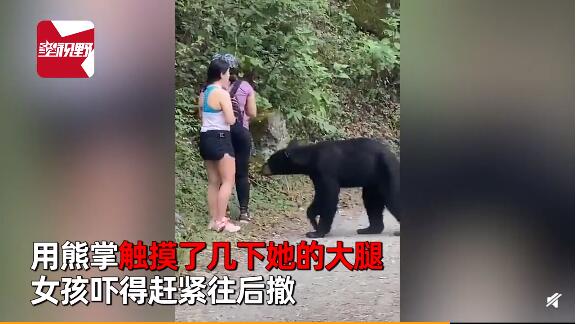女子路遇野生黑熊被抱住淡定自拍什么情况?怎么回事?终于真相了,原来是这样!