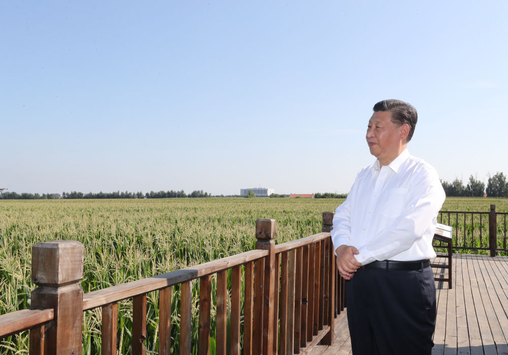 这件大事 总书记始终惦念