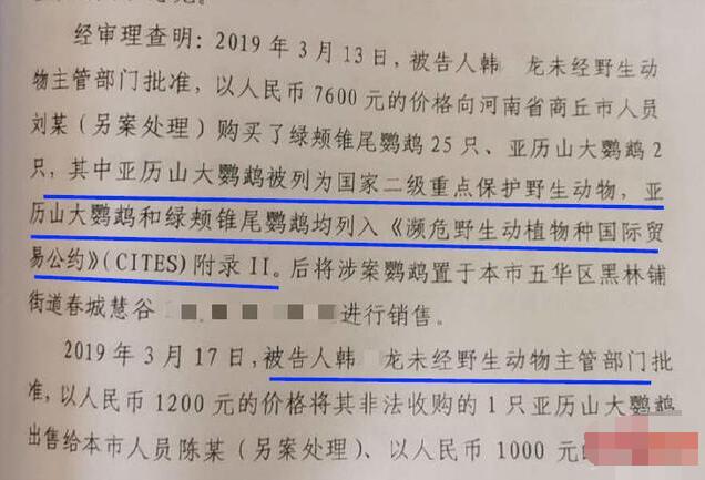 大学生售卖2只鹦鹉一审获刑6年|后续来了!大学生售卖2只鹦鹉一审获刑6年,你怎么看?