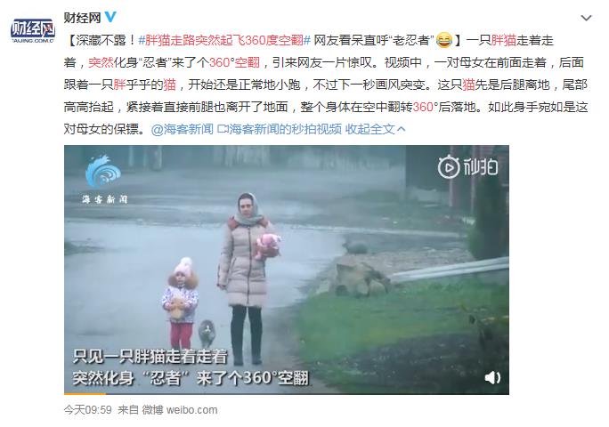 胖猫走路突然起飞360度空翻|笑cry！胖猫走路突然起飞360度空翻，功夫胖喵惊呆众人