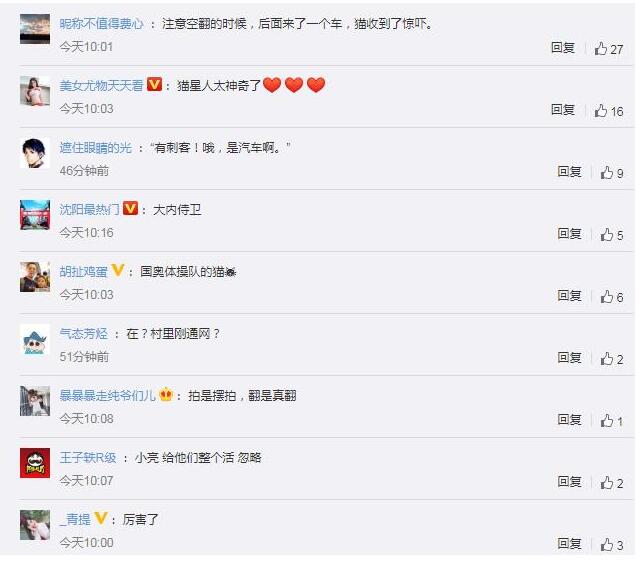 胖猫走路突然起飞360度空翻|笑cry！胖猫走路突然起飞360度空翻，功夫胖喵惊呆众人