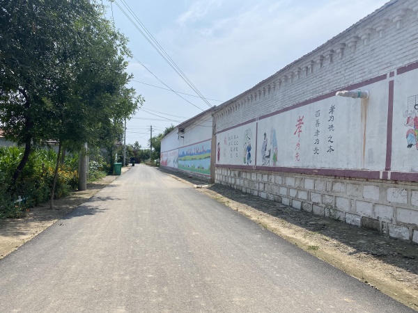 小草免费播放观看在线视