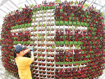 不仅有“智”感，也更具“质”感 数字化为“三农”发展添新翼（网上中国）