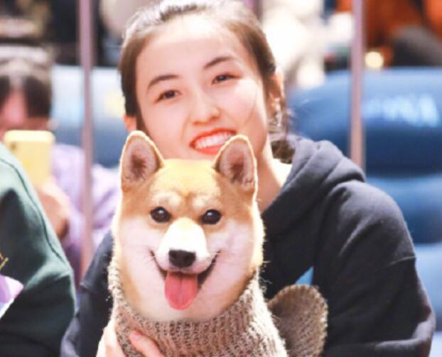 官方回应张子枫私家车开进考场|终于真相大白了!官方回应张子枫私家车开进考场 具体是怎么回事?