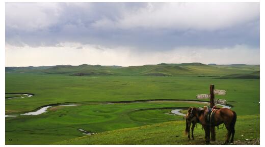 【幸福花开新边疆】离离原上泥作路 风吹草低心安处