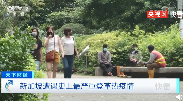 祸不单行！新加坡遇史上最严重登革热疫情 有人同时感染了新冠肺炎