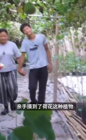 小伙三年为女友种出半亩荷塘|实力宠妻！小伙三年为女友种出半亩荷塘 东北人没见过荷花是什么梗？