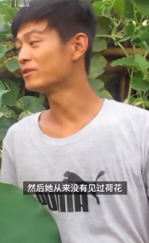 小伙三年为女友种出半亩荷塘|实力宠妻！小伙三年为女友种出半亩荷塘 东北人没见过荷花是什么梗？