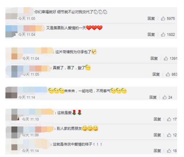 【羡慕】小伙三年为女友种出半亩荷塘 网友：浪漫，这才是塘主