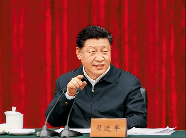 欧美露下体视频磁力下载