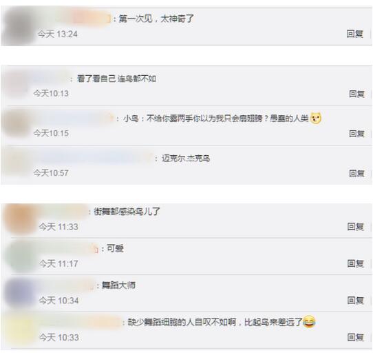 【魔性十足】小鸟在镜头前跳机械舞 灵魂戏精收放自如这戏路太强了