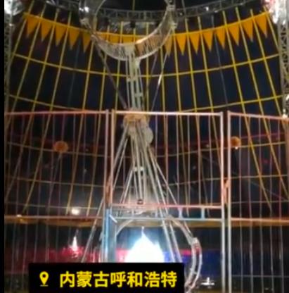 身亡雜技演員家屬不接受50萬賠償，還有3歲女兒需要撫養