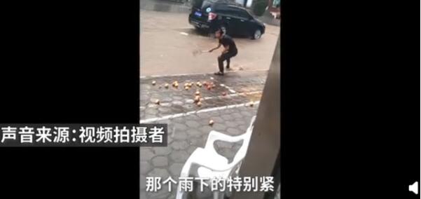 暴雨中男子用漏勺在门口捞苹果 网友：捞面练出来的 