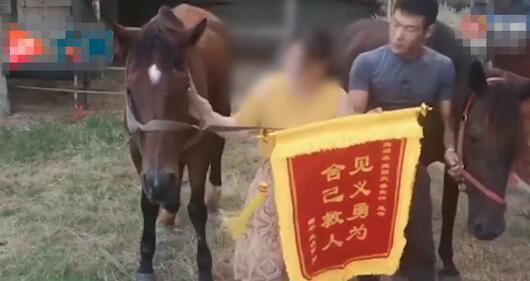 伤心!福建下海救人的两匹救命恩马去世,救人的马没有受过海中训练