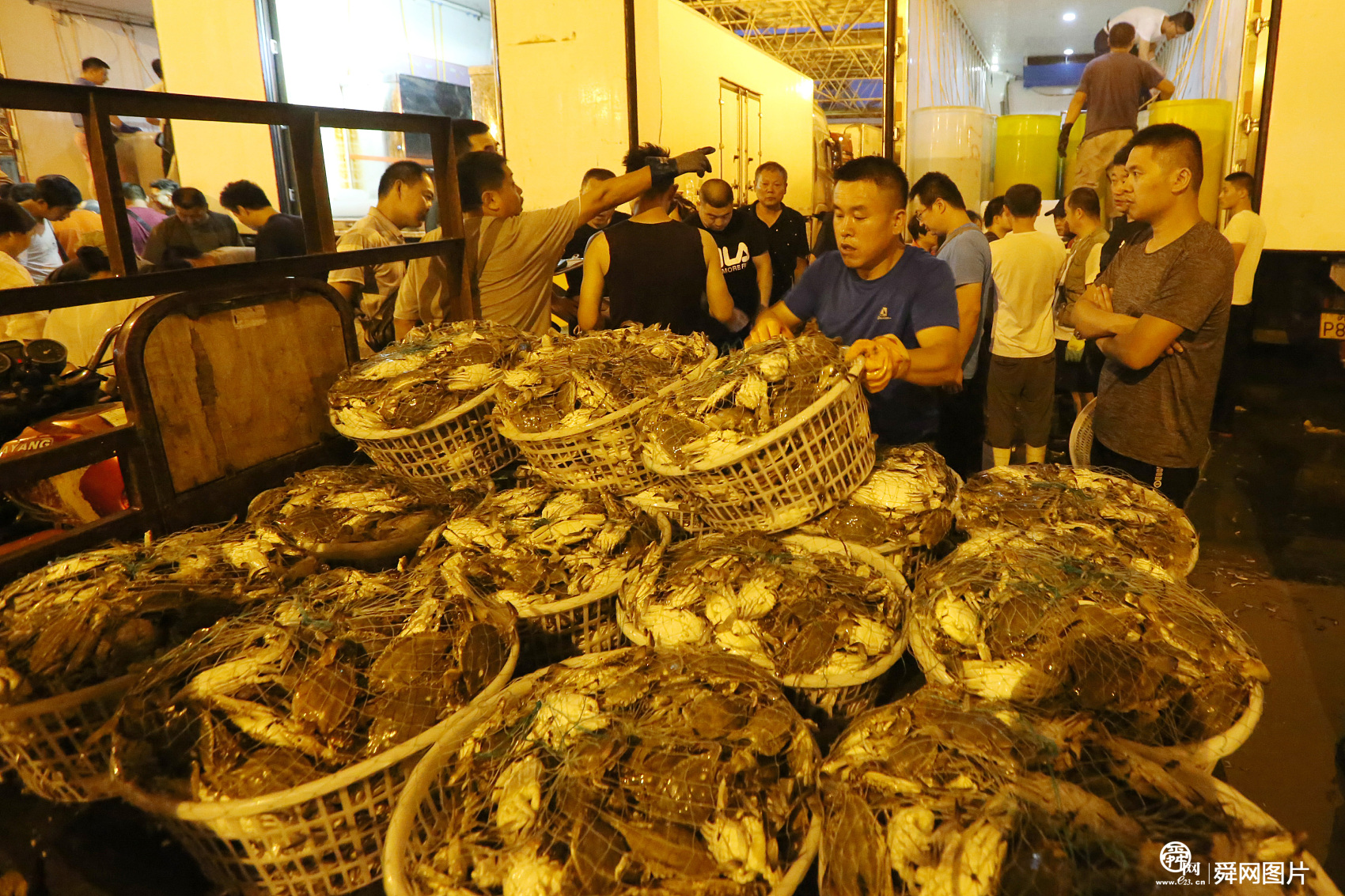 南方梭子蟹进青岛 凌晨上演“抢蟹战”