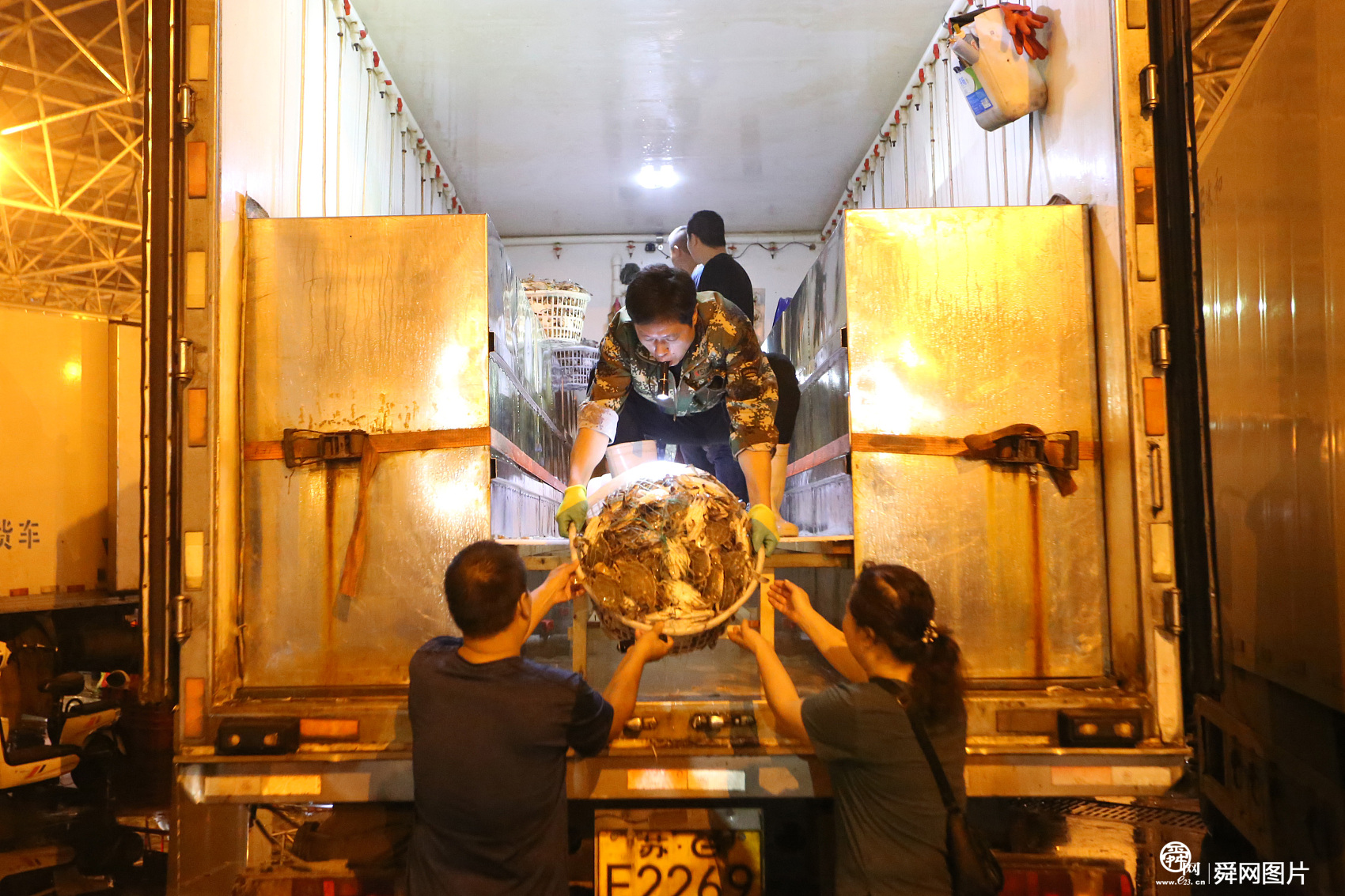 南方梭子蟹进青岛 凌晨上演“抢蟹战”