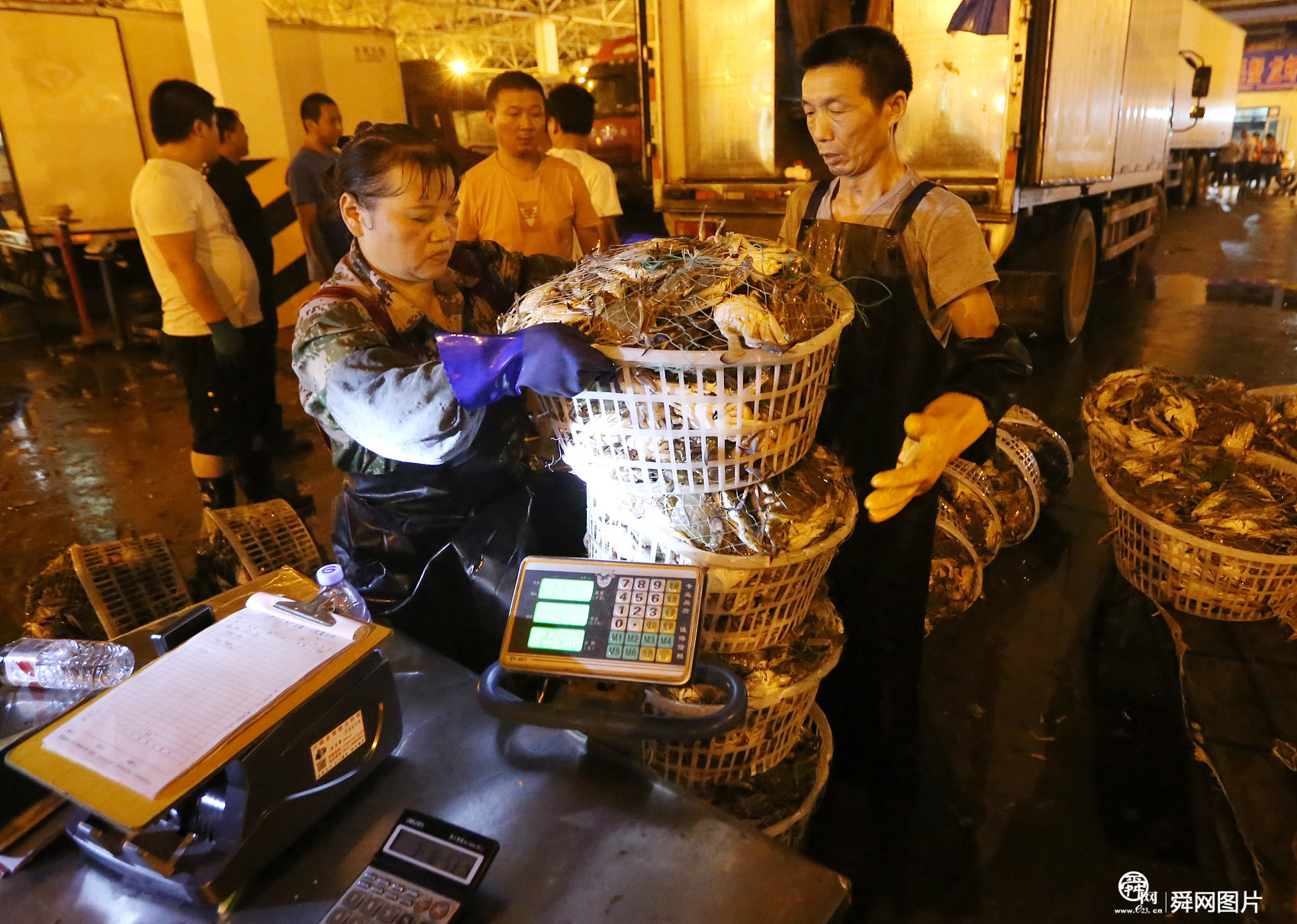 南方梭子蟹进青岛 凌晨上演“抢蟹战”