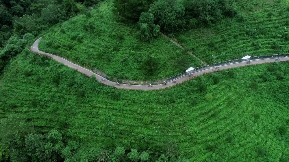 绿色跨越山水间