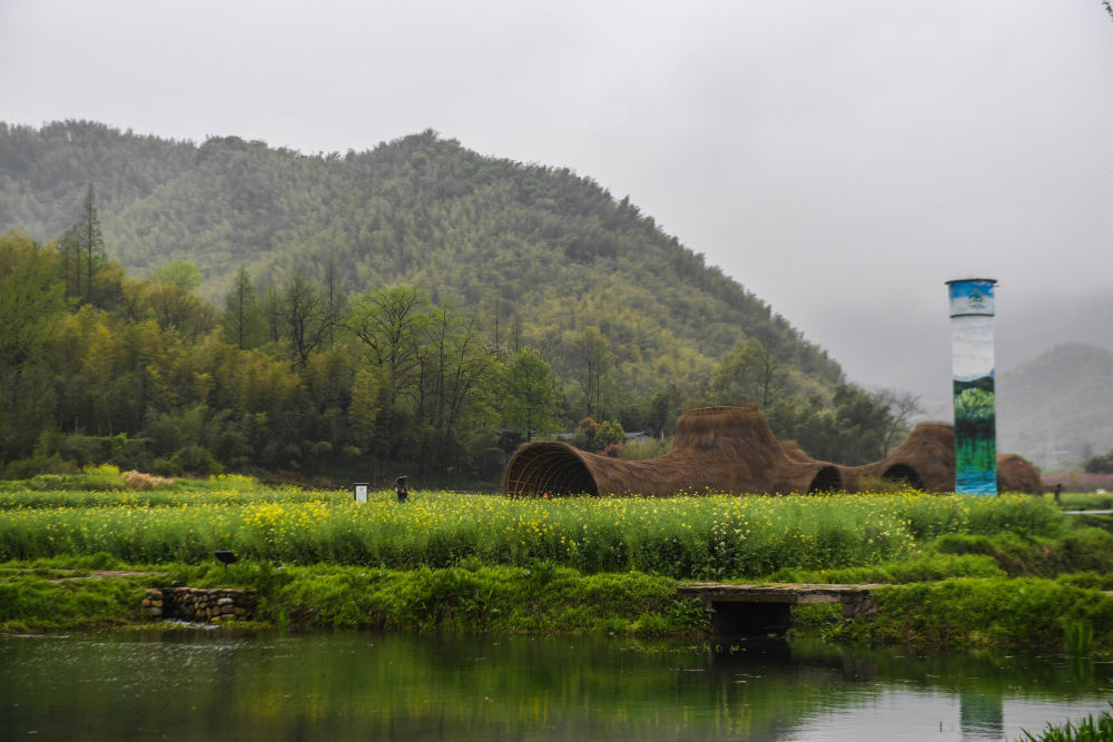 生态文明之光照耀美丽中国——写在绿水青山就是金山银山理念提出15周年之际
