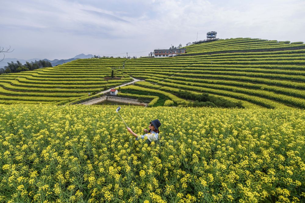 生态文明之光照耀美丽中国——写在绿水青山就是金山银山理念提出15周年之际