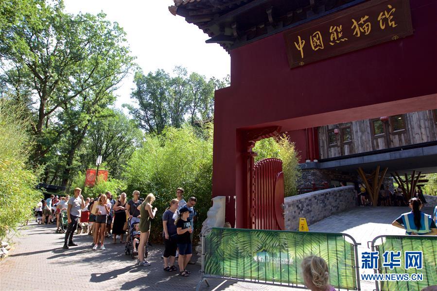 旅荷大熊猫宝宝取名“梵星”